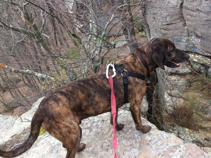 Lockegee Rock and Cave Run Lake